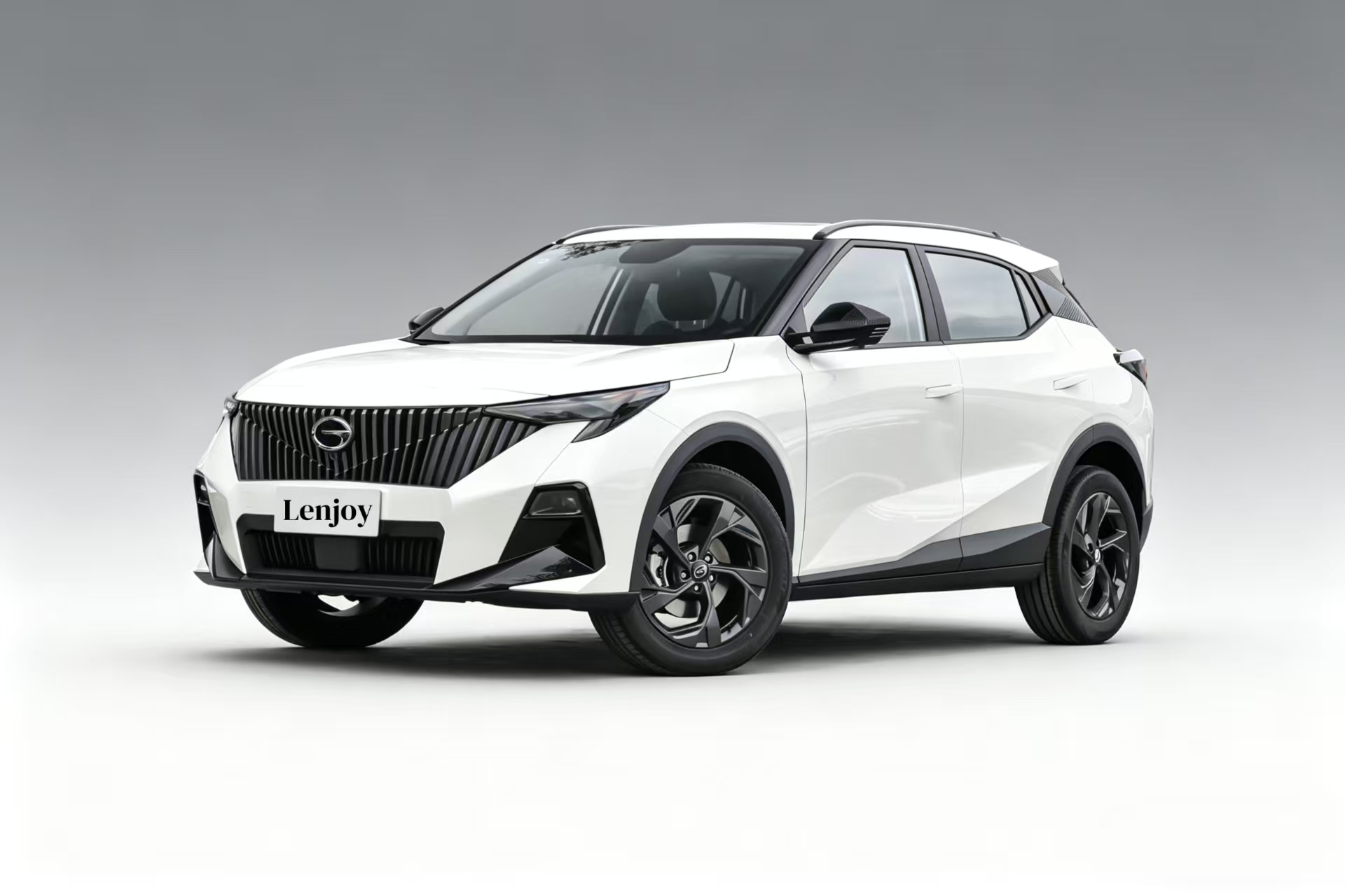 GS3 出口六国语言定制